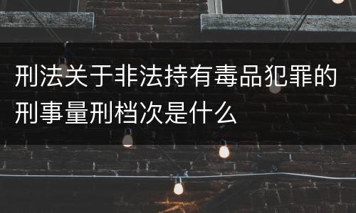 刑法关于非法持有毒品犯罪的刑事量刑档次是什么