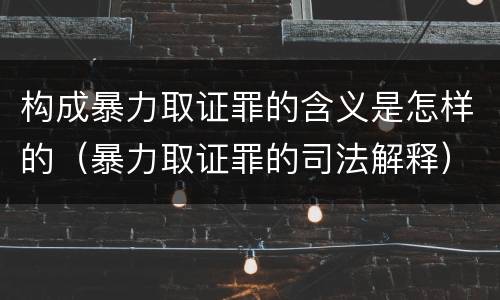 构成暴力取证罪的含义是怎样的（暴力取证罪的司法解释）