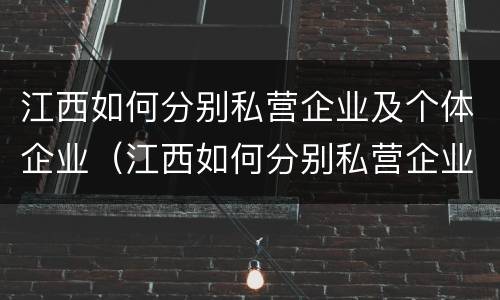 江西如何分别私营企业及个体企业（江西如何分别私营企业及个体企业呢）