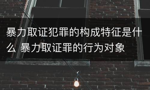暴力取证犯罪的构成特征是什么 暴力取证罪的行为对象