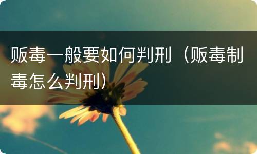 贩毒一般要如何判刑（贩毒制毒怎么判刑）