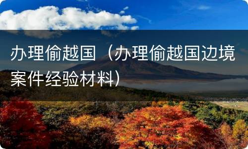 办理偷越国（办理偷越国边境案件经验材料）