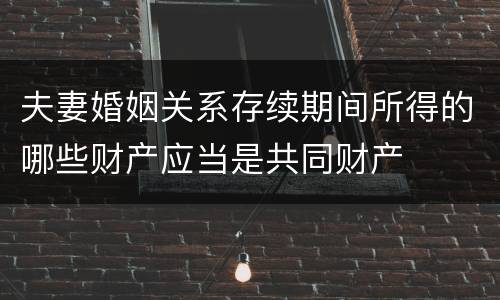 夫妻婚姻关系存续期间所得的哪些财产应当是共同财产