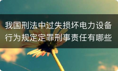 我国刑法中过失损坏电力设备行为规定定罪刑事责任有哪些