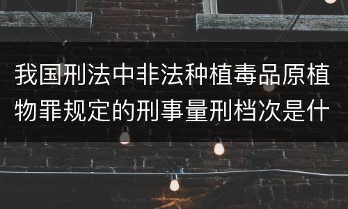 我国刑法中非法种植毒品原植物罪规定的刑事量刑档次是什么