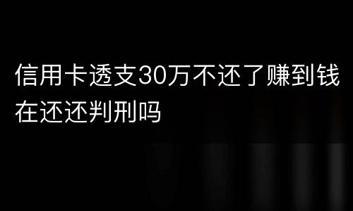 信用卡透支30万不还了赚到钱在还还判刑吗