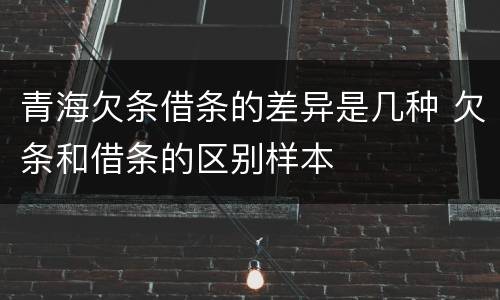 青海欠条借条的差异是几种 欠条和借条的区别样本