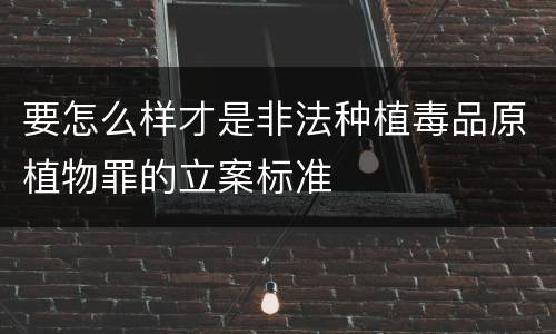 要怎么样才是非法种植毒品原植物罪的立案标准