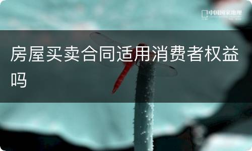 房屋买卖合同适用消费者权益吗