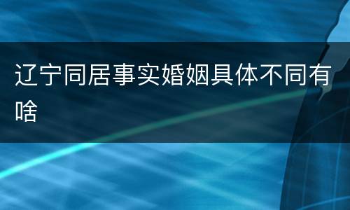 辽宁同居事实婚姻具体不同有啥