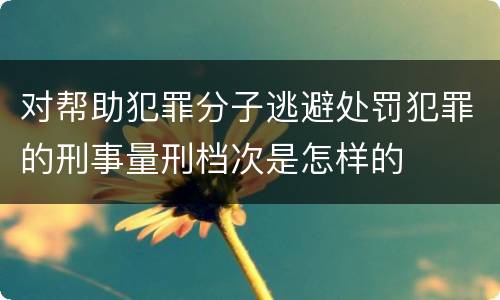 对帮助犯罪分子逃避处罚犯罪的刑事量刑档次是怎样的
