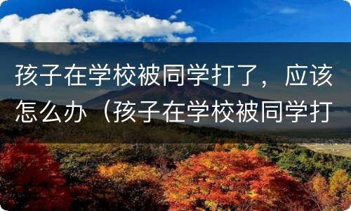 孩子在学校被同学打了，应该怎么办（孩子在学校被同学打了应该怎么办?）