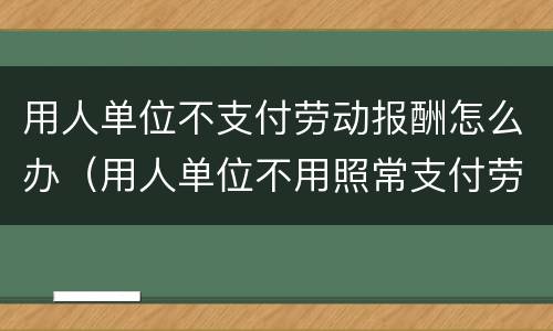 用人单位不支付劳动报酬怎么办（用人单位不用照常支付劳动者工资报酬）