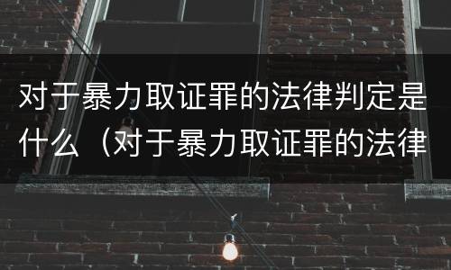 对于暴力取证罪的法律判定是什么（对于暴力取证罪的法律判定是什么案件）