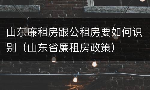 山东廉租房跟公租房要如何识别（山东省廉租房政策）
