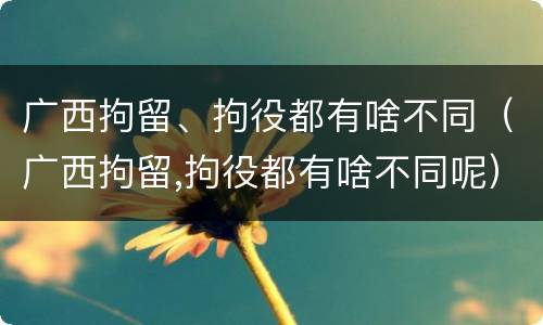 广西拘留、拘役都有啥不同（广西拘留,拘役都有啥不同呢）