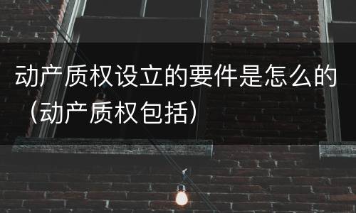 动产质权设立的要件是怎么的（动产质权包括）