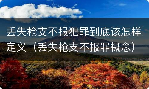 丢失枪支不报犯罪到底该怎样定义（丢失枪支不报罪概念）