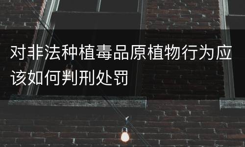 对非法种植毒品原植物行为应该如何判刑处罚