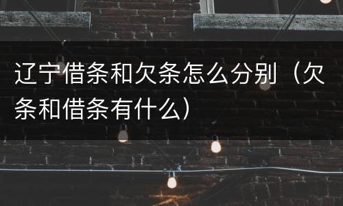 辽宁借条和欠条怎么分别（欠条和借条有什么）