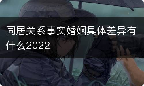 同居关系事实婚姻具体差异有什么2022