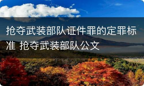 抢夺武装部队证件罪的定罪标准 抢夺武装部队公文