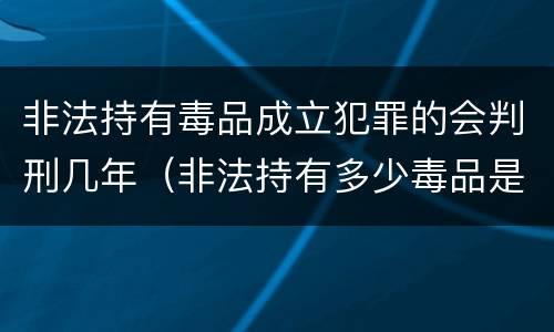 非法持有毒品成立犯罪的会判刑几年（非法持有多少毒品是刑事犯罪）
