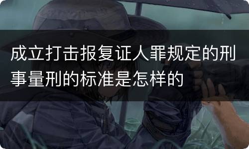 成立打击报复证人罪规定的刑事量刑的标准是怎样的