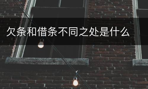 欠条和借条不同之处是什么