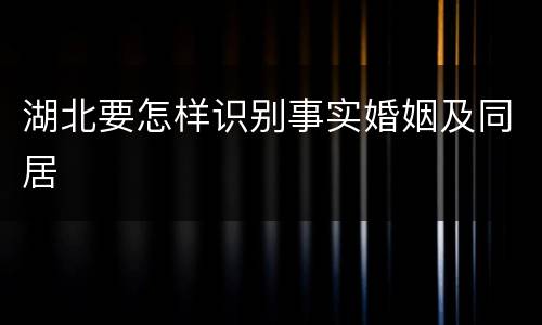 湖北要怎样识别事实婚姻及同居