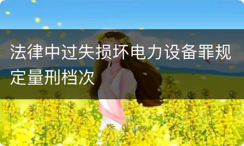 法律中过失损坏电力设备罪规定量刑档次