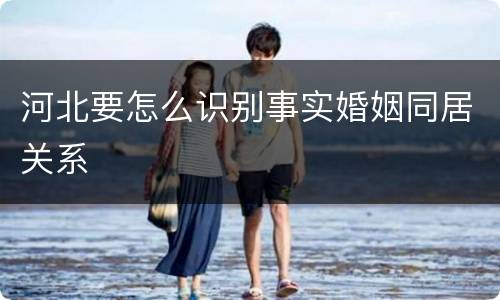 河北要怎么识别事实婚姻同居关系