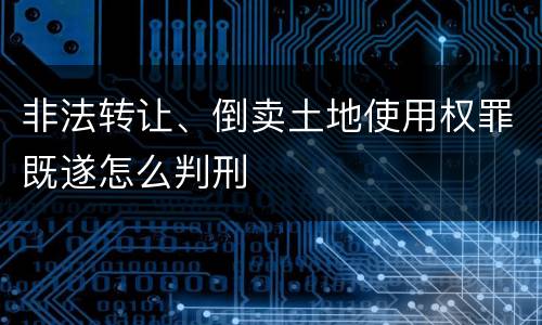非法转让、倒卖土地使用权罪既遂怎么判刑
