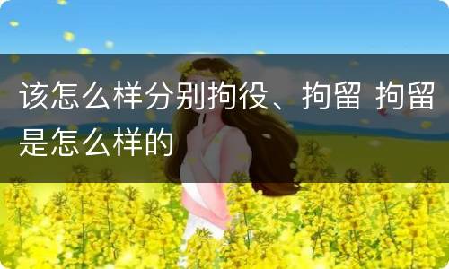该怎么样分别拘役、拘留 拘留是怎么样的