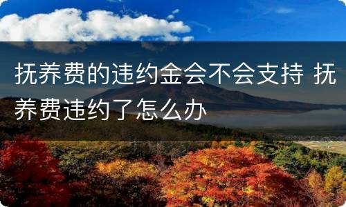 抚养费的违约金会不会支持 抚养费违约了怎么办