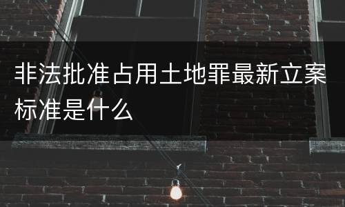 非法批准占用土地罪最新立案标准是什么