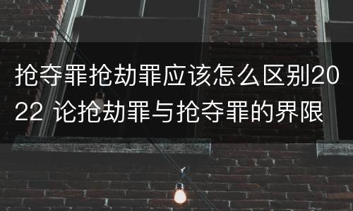 抢夺罪抢劫罪应该怎么区别2022 论抢劫罪与抢夺罪的界限