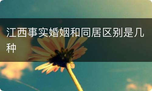 江西事实婚姻和同居区别是几种
