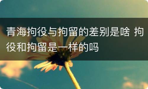 青海拘役与拘留的差别是啥 拘役和拘留是一样的吗