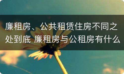 廉租房、公共租赁住房不同之处到底 廉租房与公租房有什么不同