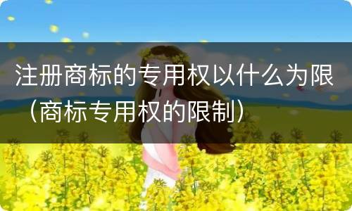 注册商标的专用权以什么为限（商标专用权的限制）