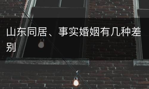 山东同居、事实婚姻有几种差别