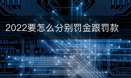 2022要怎么分别罚金跟罚款