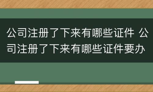 公司注册了下来有哪些证件 公司注册了下来有哪些证件要办
