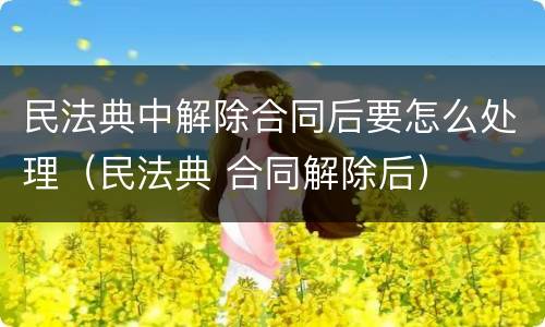 民法典中解除合同后要怎么处理（民法典 合同解除后）