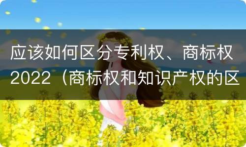 应该如何区分专利权、商标权2022（商标权和知识产权的区别）