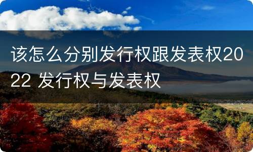 该怎么分别发行权跟发表权2022 发行权与发表权