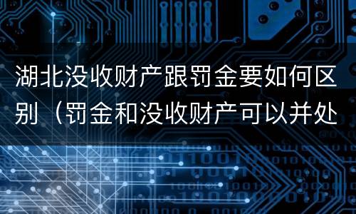 湖北没收财产跟罚金要如何区别（罚金和没收财产可以并处吗）