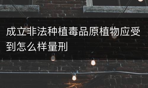 成立非法种植毒品原植物应受到怎么样量刑