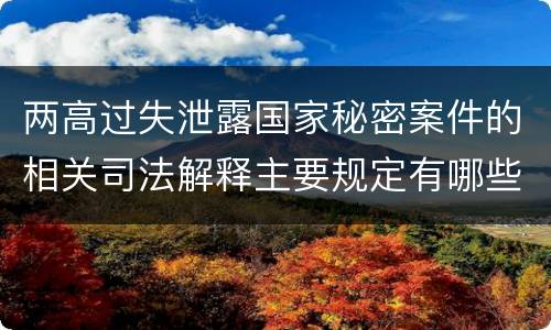 两高过失泄露国家秘密案件的相关司法解释主要规定有哪些